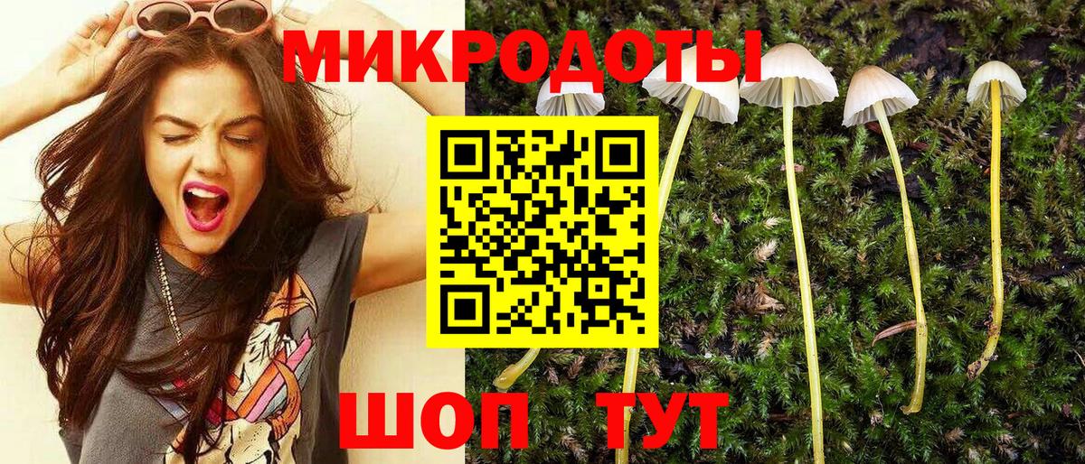 Псилоцибиновые грибы мицелий  Вход с VPN  Отрадный 